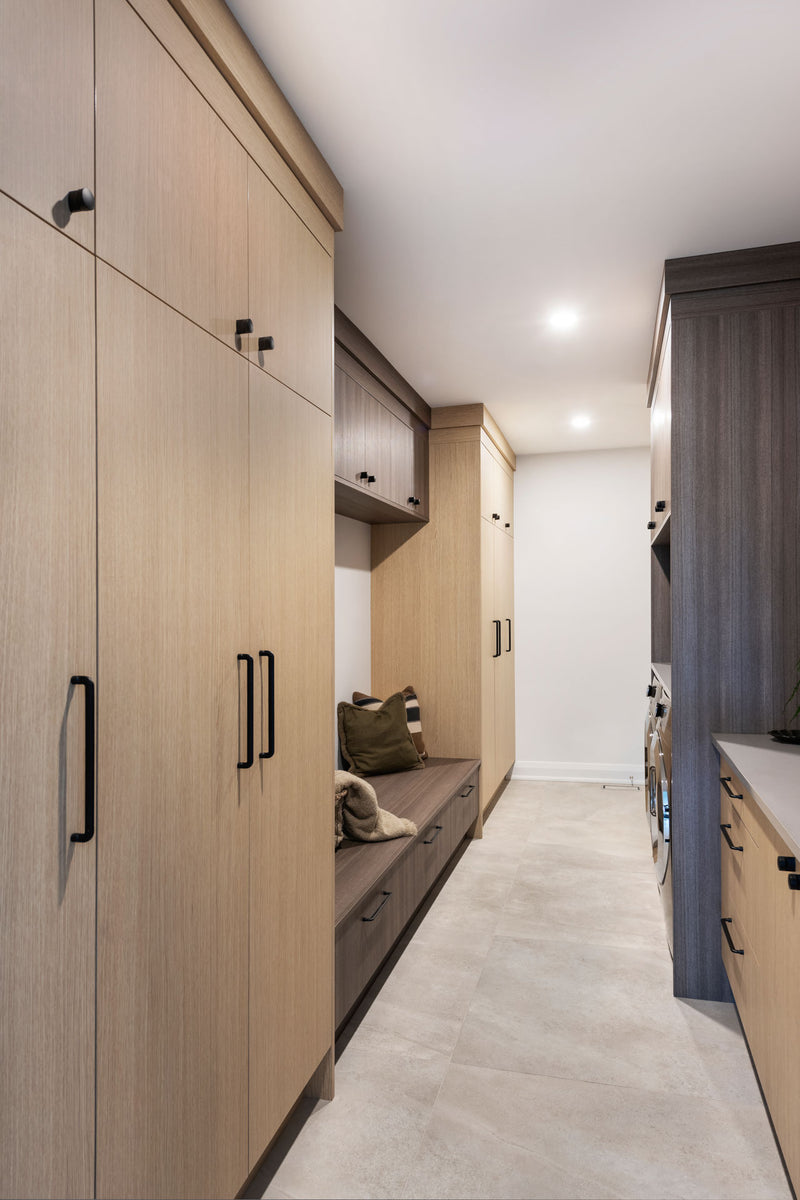Lenester Project