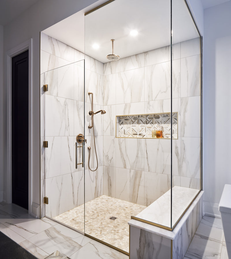 Revelstoke Project